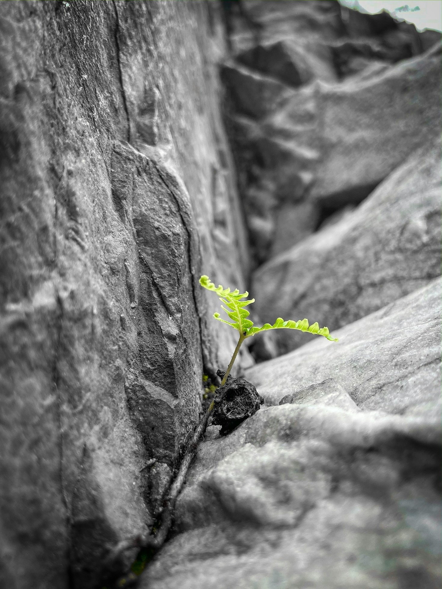 Understanding Anxiety and Depression: A Therapist’s Perspective