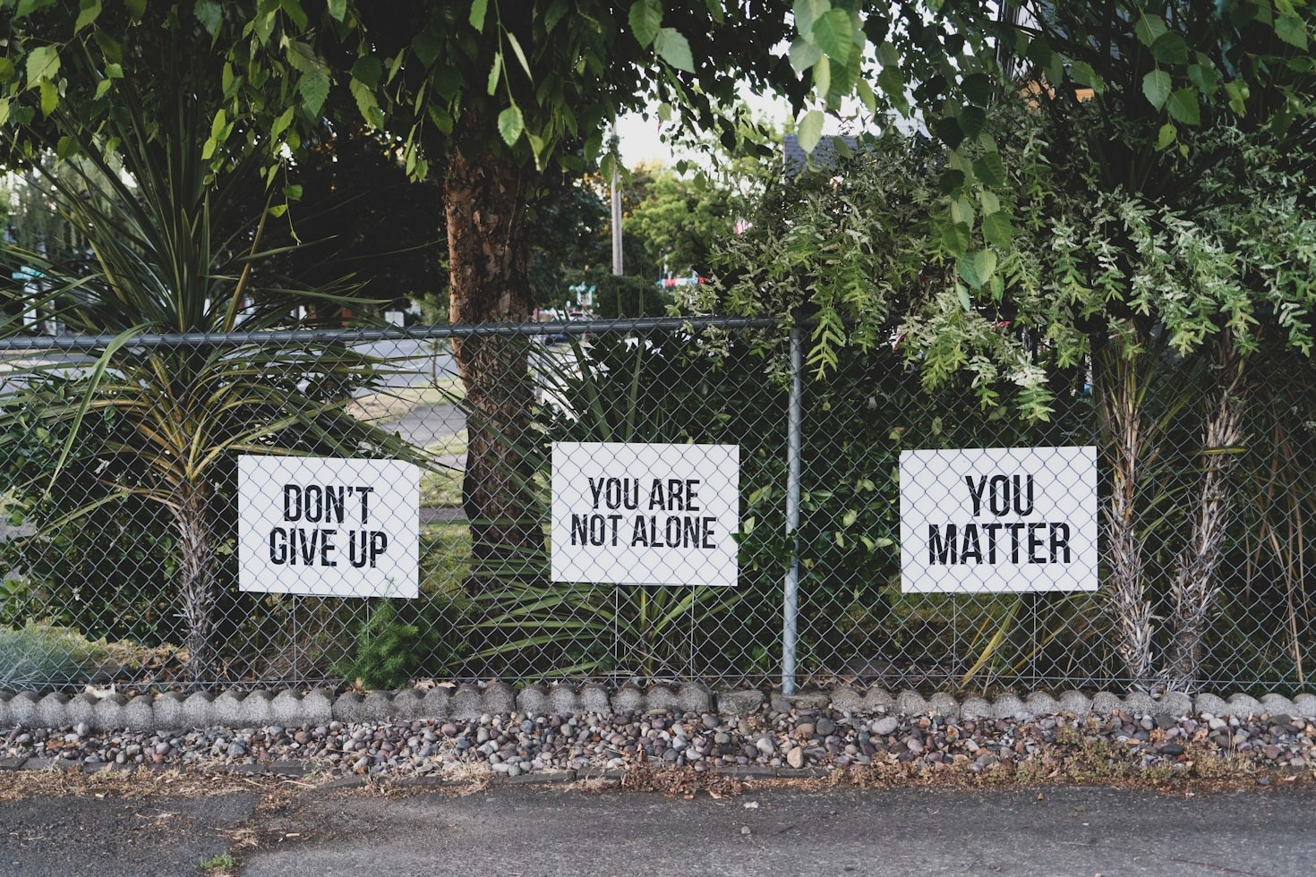 When Therapy Meets Neuroscience: A Powerful Healing Approach